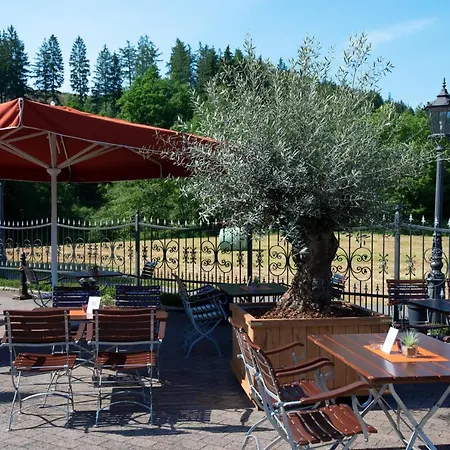 Hotel Wacker Wenden (Sauerland)