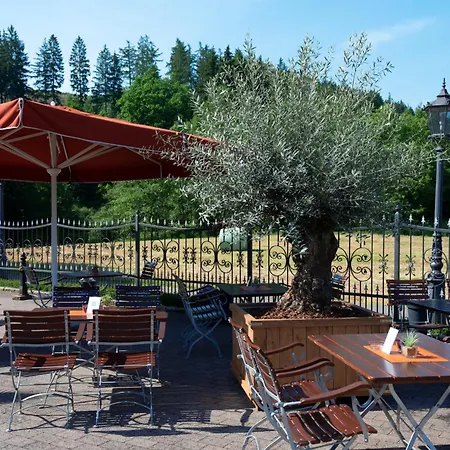 Sporthotel Landhaus Wacker Wenden (Sauerland)